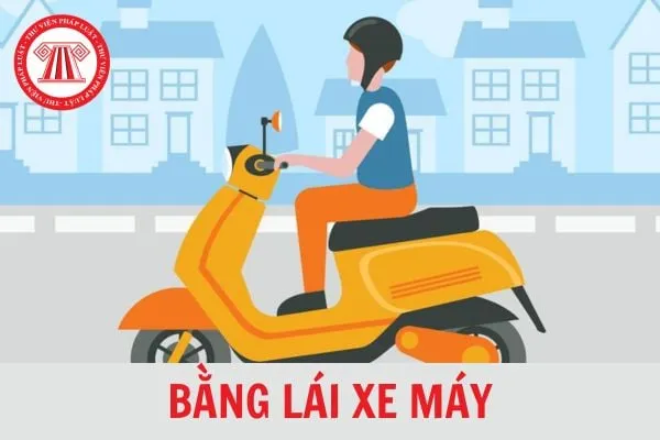 Hiện nay có mấy loại bằng lái xe máy? Phí học bằng lái xe do ai quyết định?