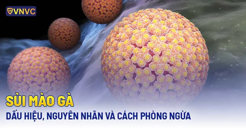 ảnh sùi mào gà
