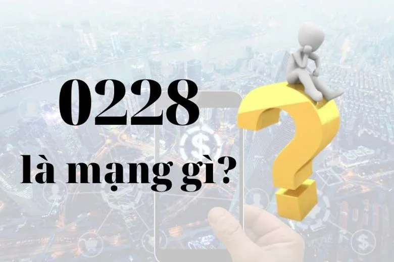Đầu số 0228 thuộc nhà mạng VNPT