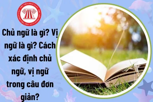 Hình ảnh minh họa cho chủ ngữ là gì