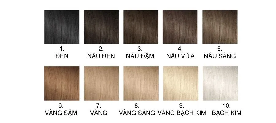 Level màu trong bảng màu nhuộm tóc