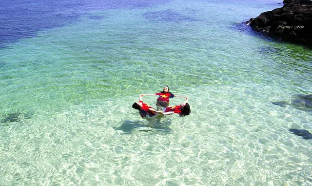 Lợi ích của Vitamin Sea