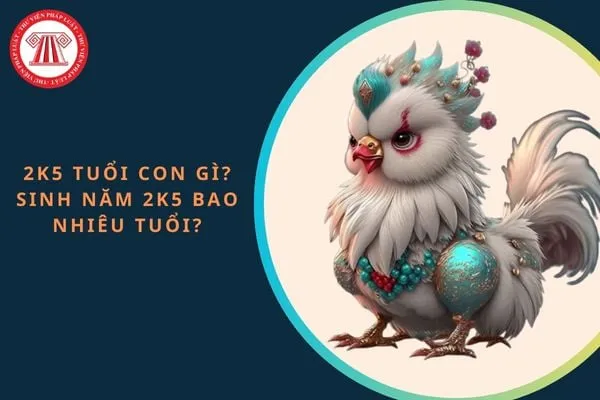 Thế hệ 2k - Biểu tượng trẻ trung và năng động