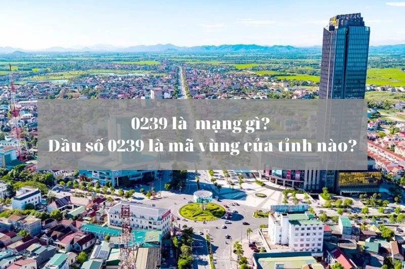 VNPT là nhà mạng đầu số 0239