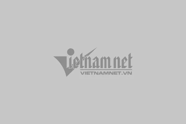 Phương Oanh và Shark Bình nắm tay thể hiện tình cảm