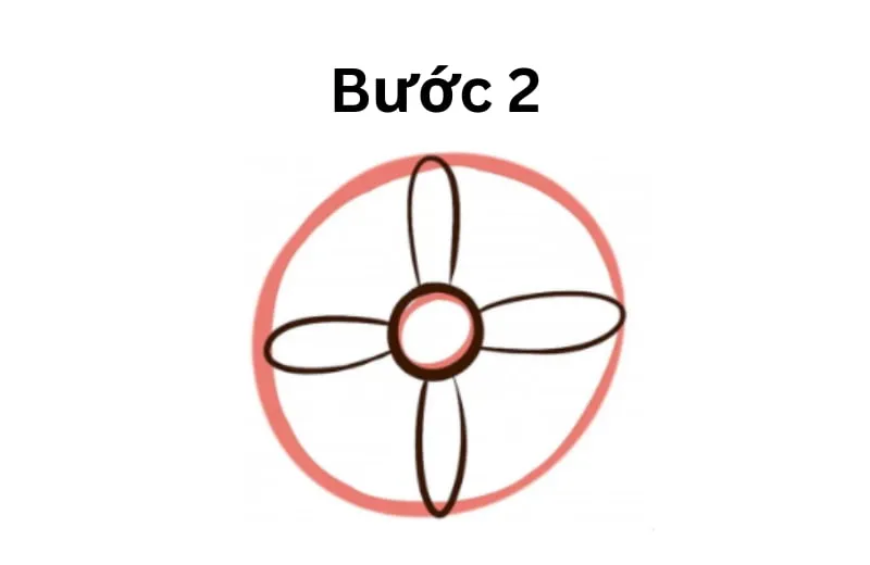 Vẽ hoa cúc bước 2
