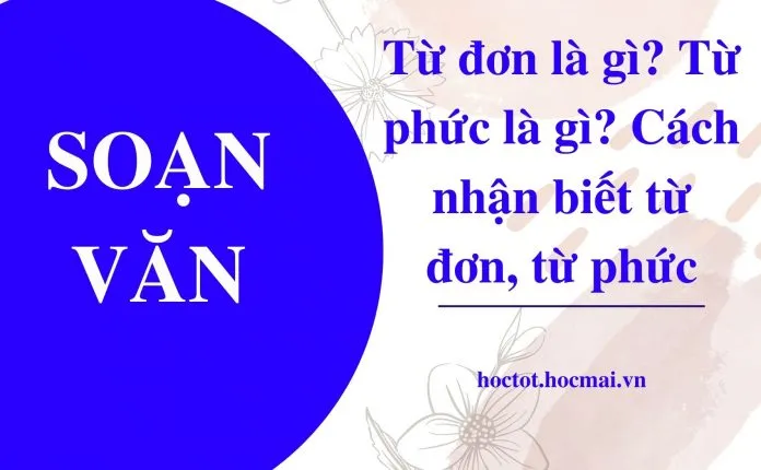 Cách phân biệt từ đơn và từ phức