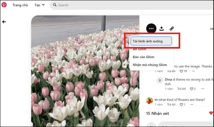 Hướng dẫn lưu ảnh từ Pinterest