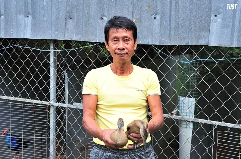 Mô hình nuôi le le của ông Thái Anh Hùng
