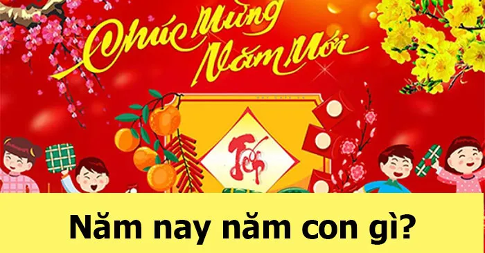 Năm rắn Ất Tỵ