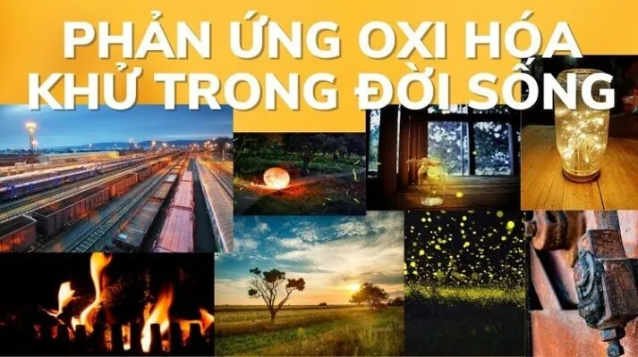 Phản ứng oxi hóa trong năng lượng