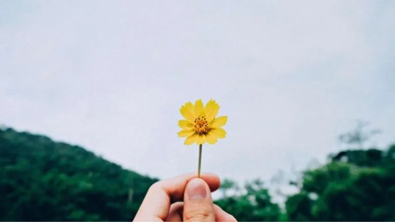 Trải nghiệm cuộc sống thực tế