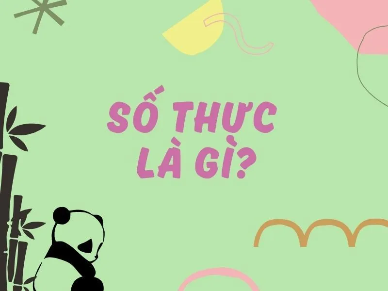 Biểu diễn tập hợp số thực