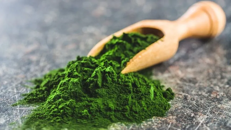 Diệp lục ngăn ngừa vi khuẩn và chữa lành vết thương