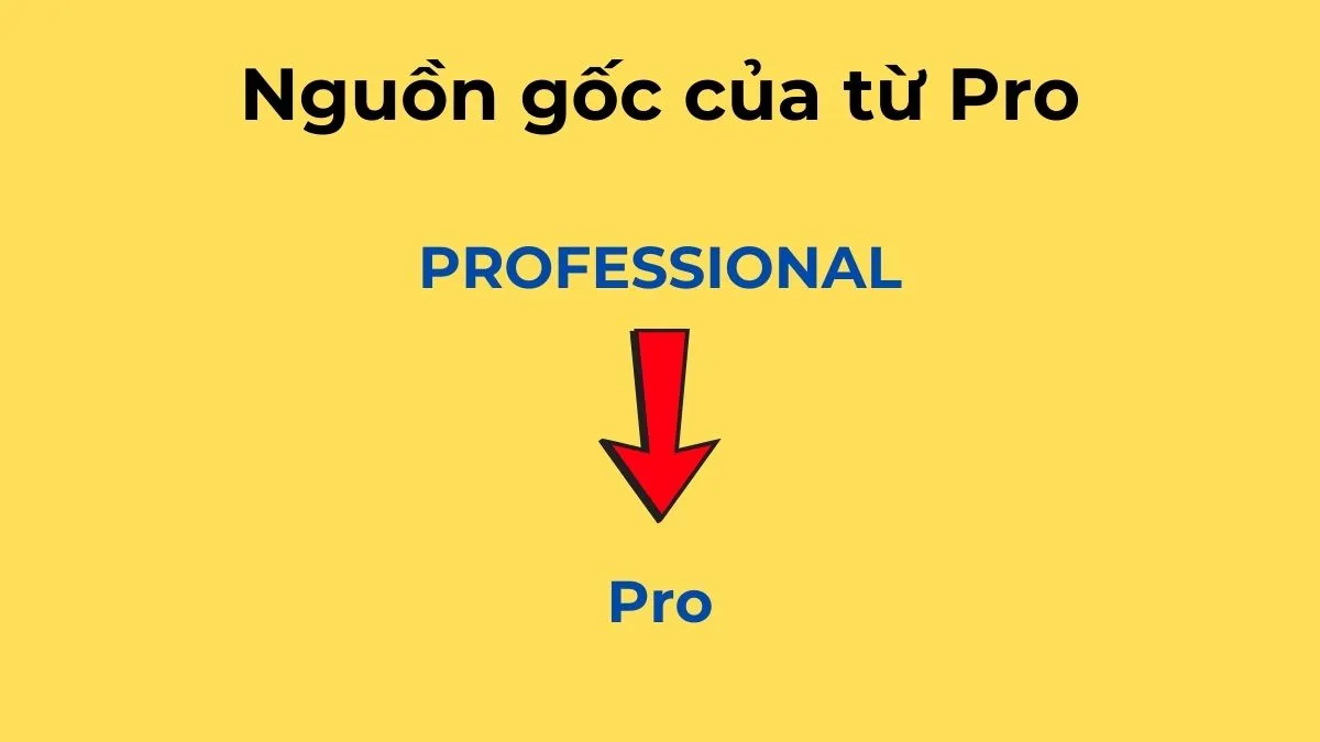 Nguồn gốc của từ Pro trong ngôn ngữ trẻ
