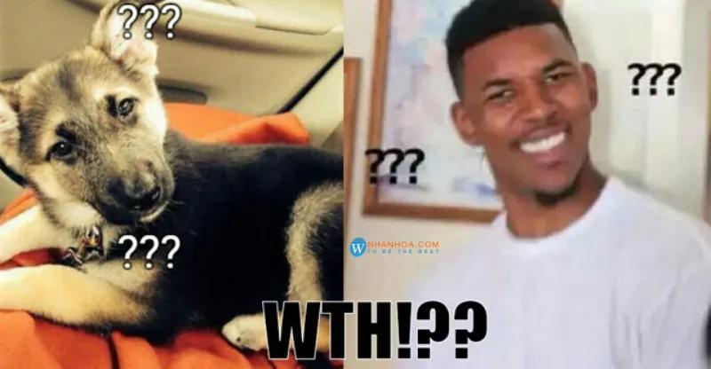 Sử dụng thận trọng cụm từ WTF trong giao tiếp