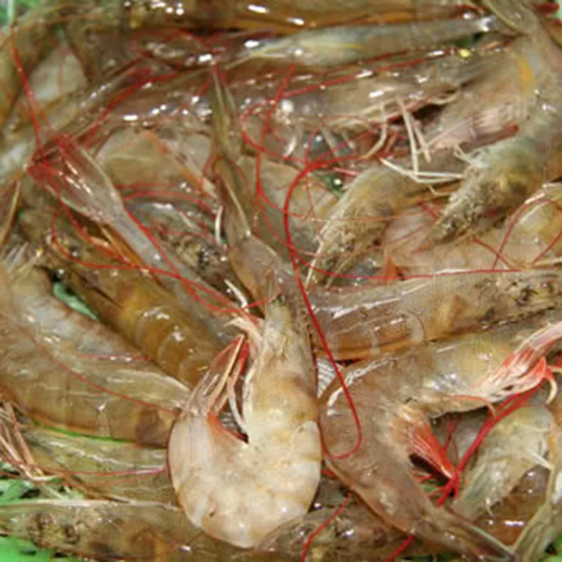 Nguyên liệu đã sơ chế sạch sẽ để nấu canh bóng
