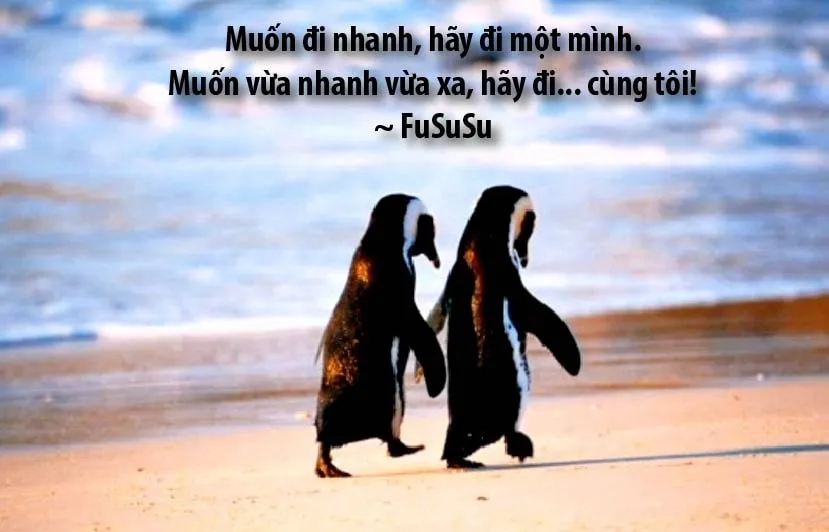 bình loạn khác biệt