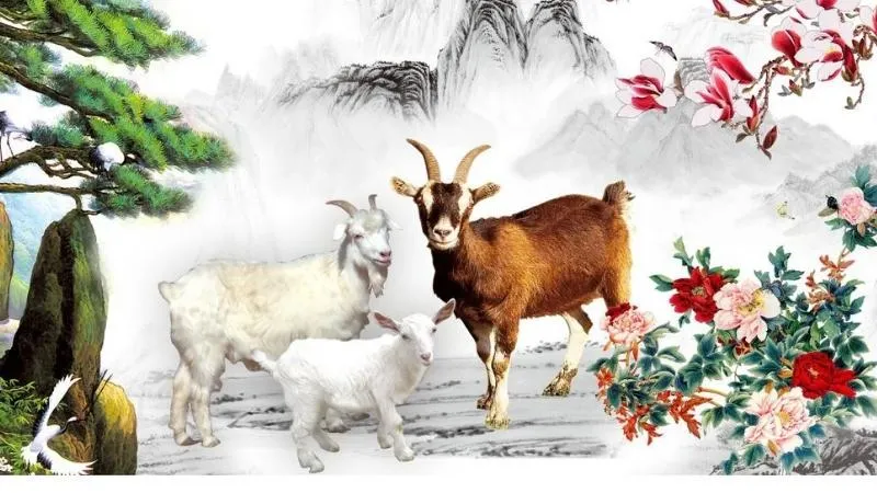 Con số may mắn của Quý Mùi