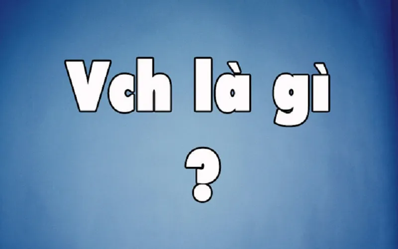 Giải thích ý nghĩa của từ vch