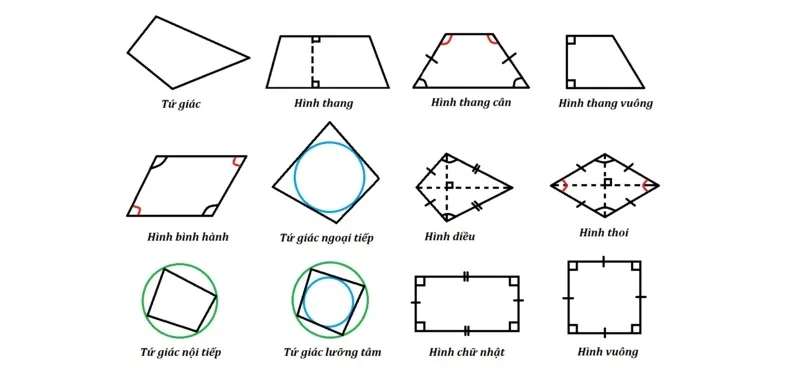 Hình ảnh minh họa các dạng tứ giác khác nhau