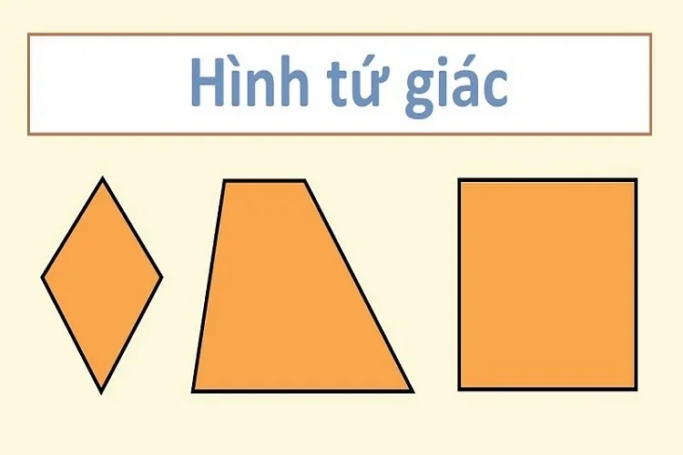 Hình ảnh minh họa các dạng tứ giác thường gặp trong thực tế