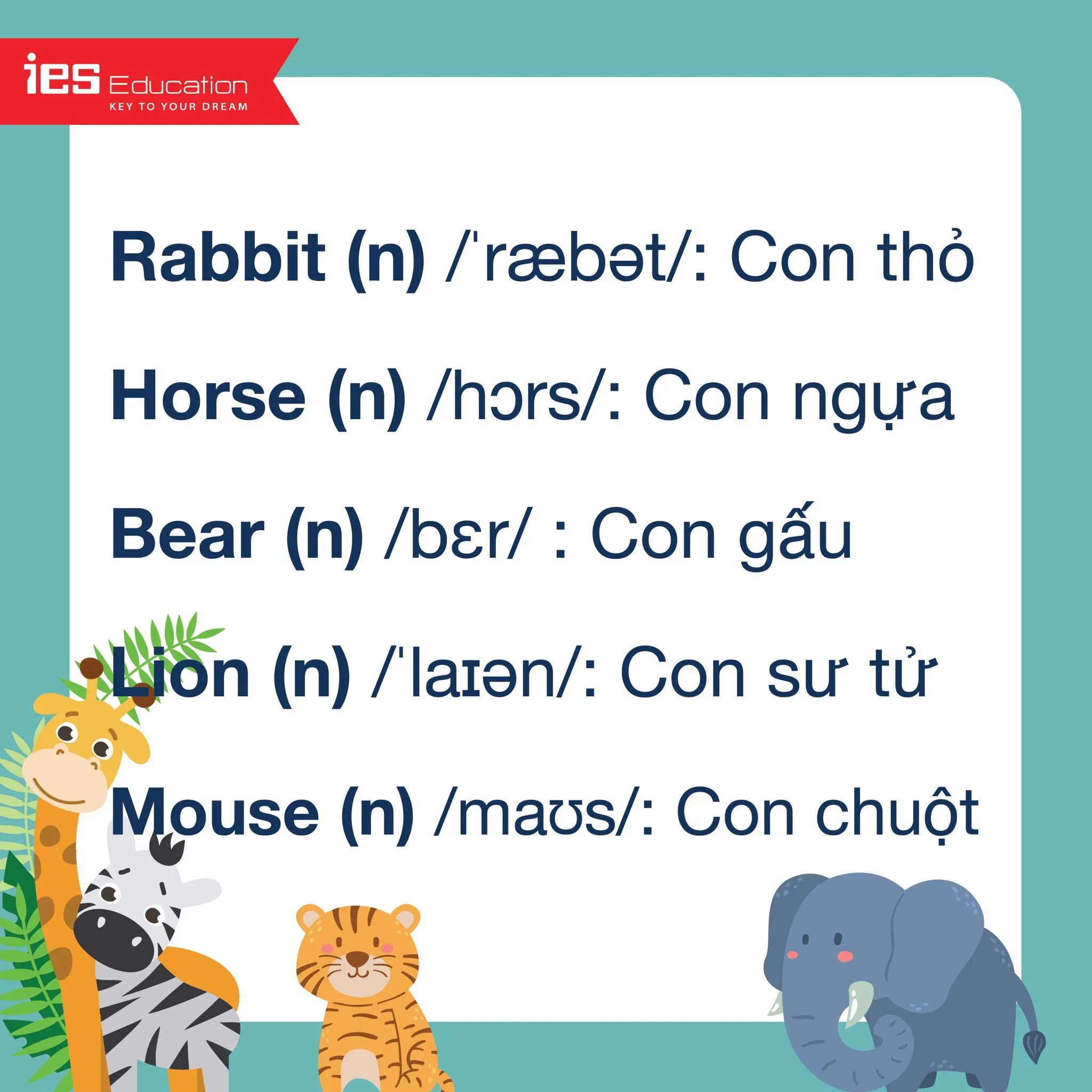 Hình ảnh một con khỉ Macaque đang ăn