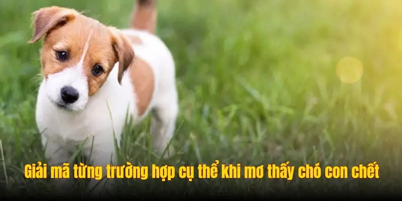 Giải mã từng trường hợp cụ thể khi mơ thấy chó con chết