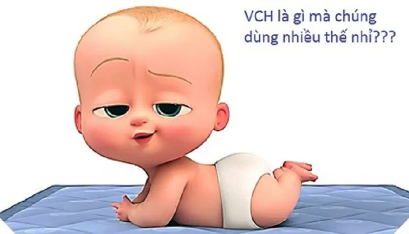 Vch là gì? Bạn đã biết vch dùng với ý nghĩa thế nào chưa?