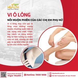 vi ô lông