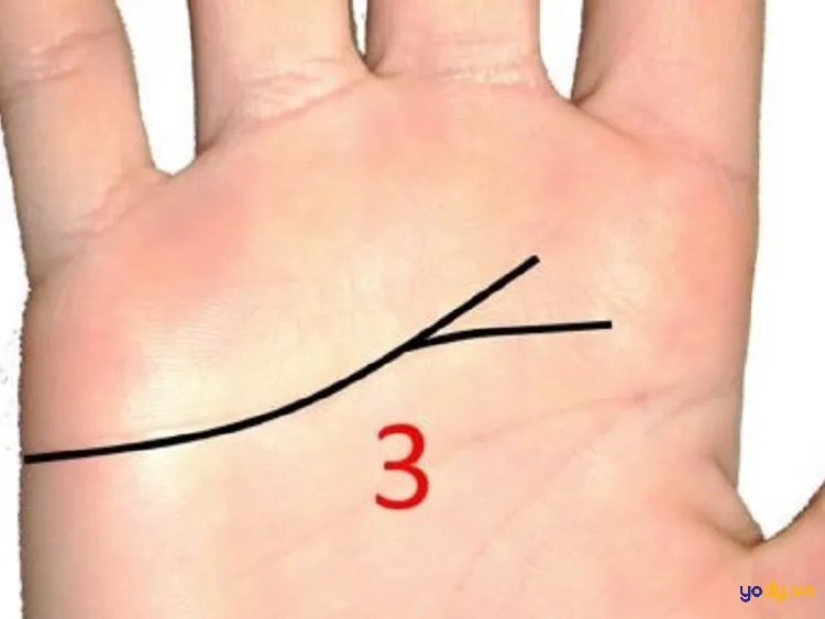 Chỉ tay có nhiều nhánh