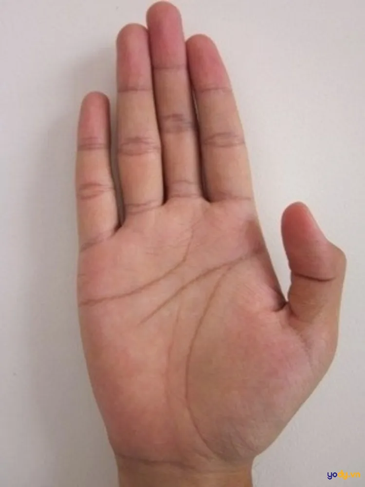 Chỉ tay cong, lên xuống