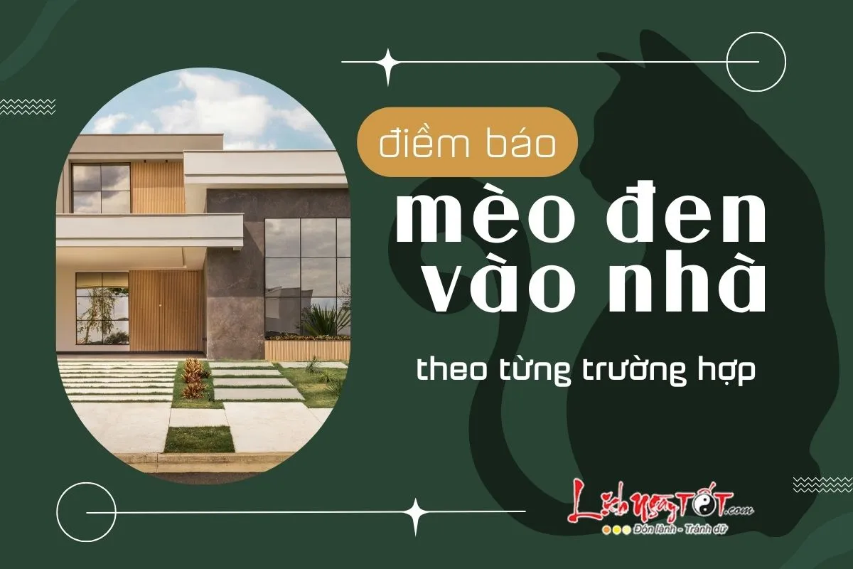 Diem bao meo den vao nha
