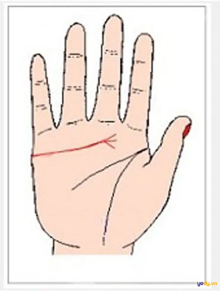 Đường tình duyên rẽ nhánh