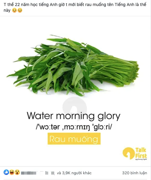 Hình ảnh rau muống xanh mướt, tươi ngon, một loại rau quen thuộc trong bữa ăn của người Việt.