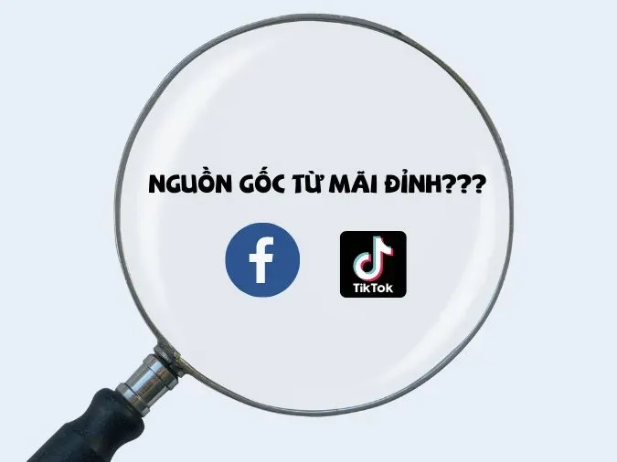 Hình ảnh thể hiện sự yêu thích, hâm mộ