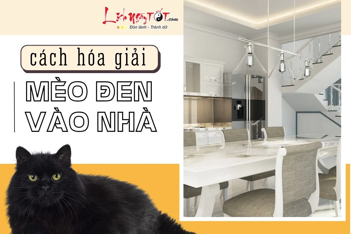 Hoa giai meo den vao nha