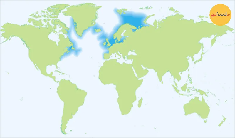 Phạm vi sinh sống của Cá Tuyết Đại Tây Dương