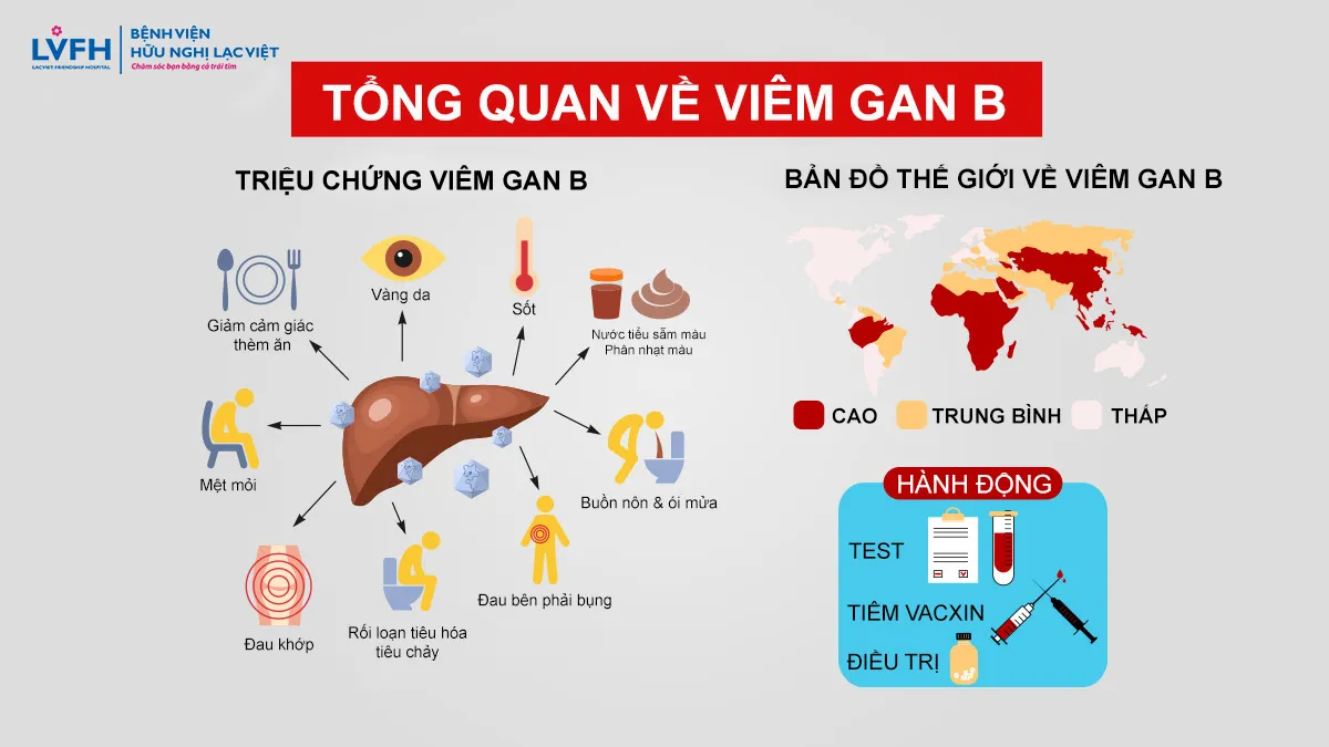 Việt Nam là quốc gia nằm trong nhóm bị viêm gan B cao