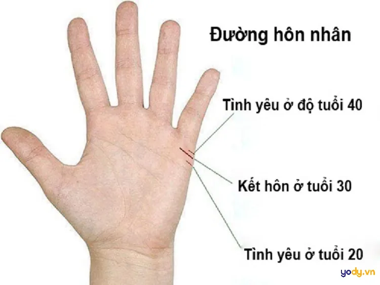 Xem đường tình duyên qua chỉ tay nữ